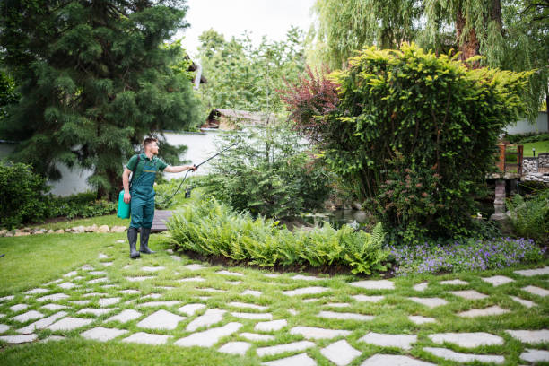 Best Wasp Removal Services  in Inkerman, PA